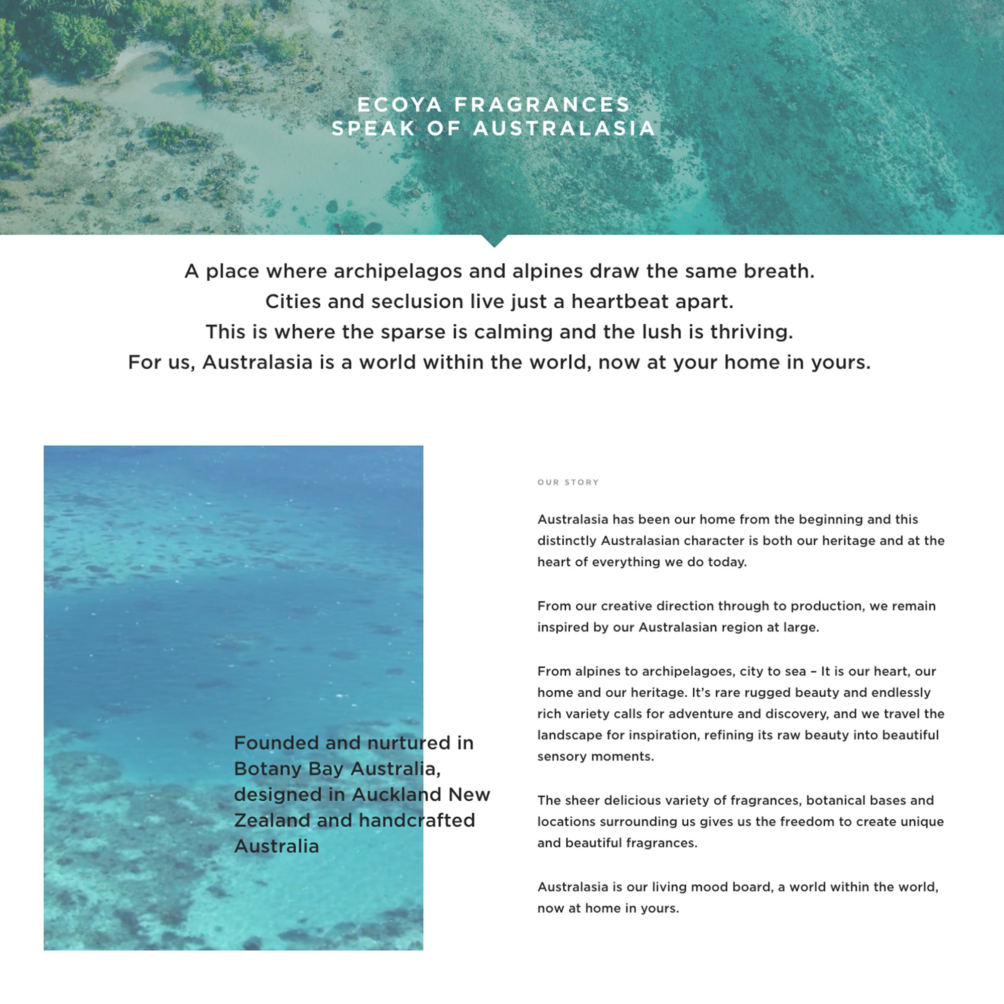 About Us: Basic to Breakthrough. Changing consumer focuses and the importance of transparent brand values. About Us: Basic to Breakthrough. Changing consumer focuses and the importance of transparent brand values.