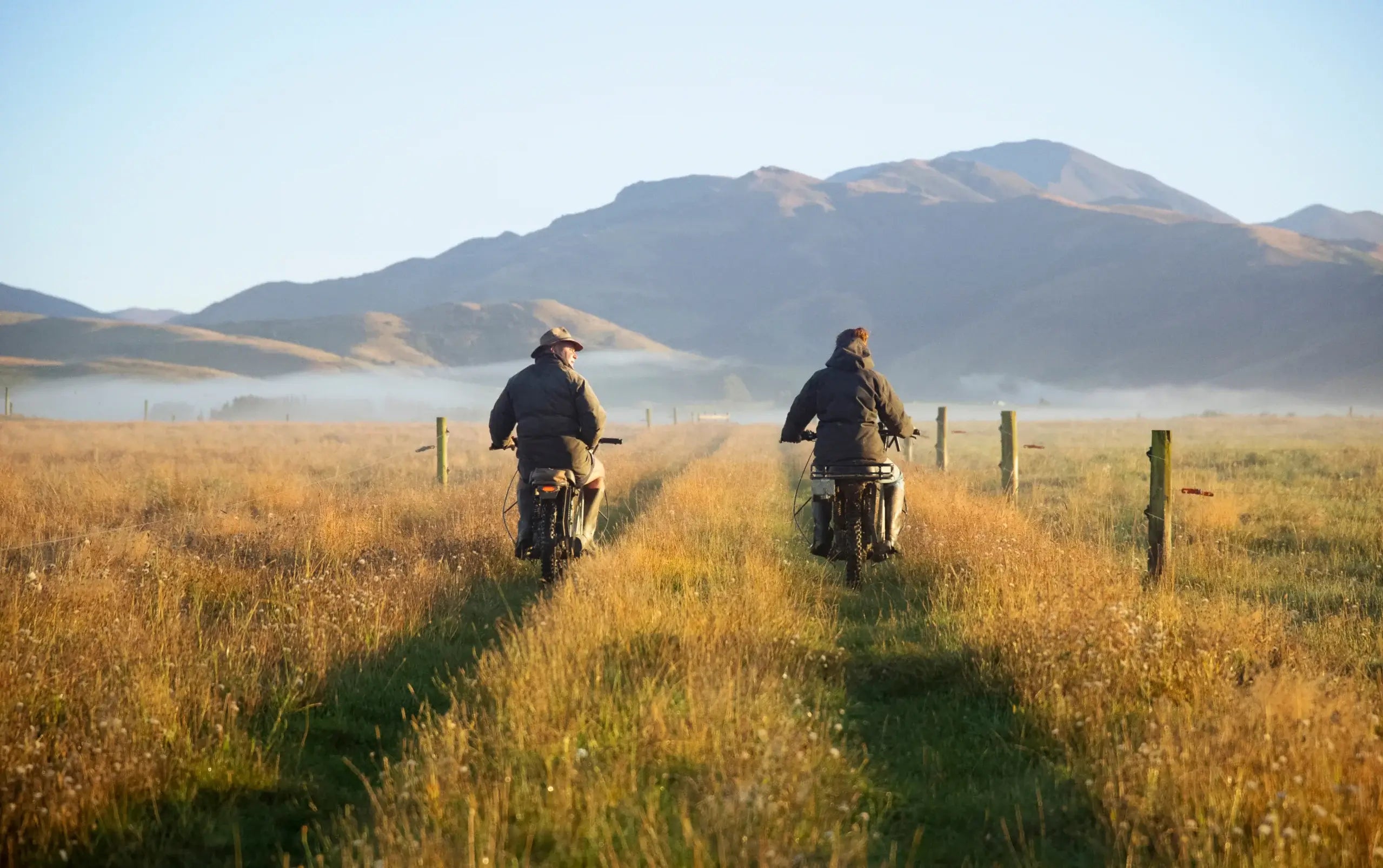 <h3>Case Studies</h3>